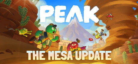巅峰/PEAK/支持网络联机